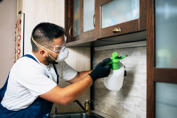 Best Rat Extermination Near Me  in Silver Lakes, CA