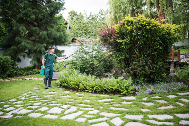 Best Wildlife Control Services  in Silver Lakes, CA