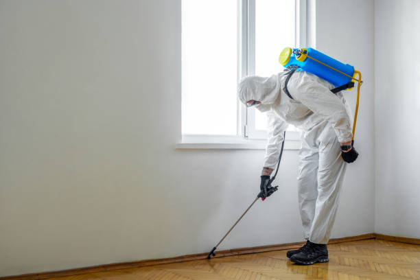 Pest Prevention Services in Silver Lakes, CA