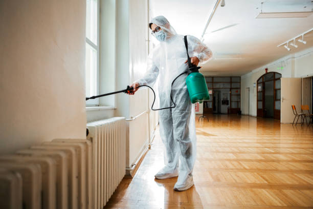 Best Termite Control Services  in Silver Lakes, CA