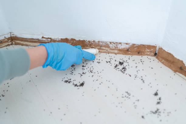 Best Wildlife Control Services  in Silver Lakes, CA
