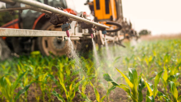 Best Mosquito Control Services  in Silver Lakes, CA